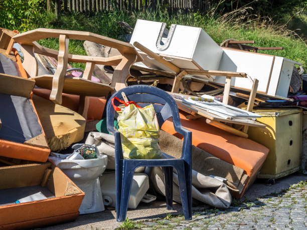 Yard Cleanup Services in West Hammond, NM